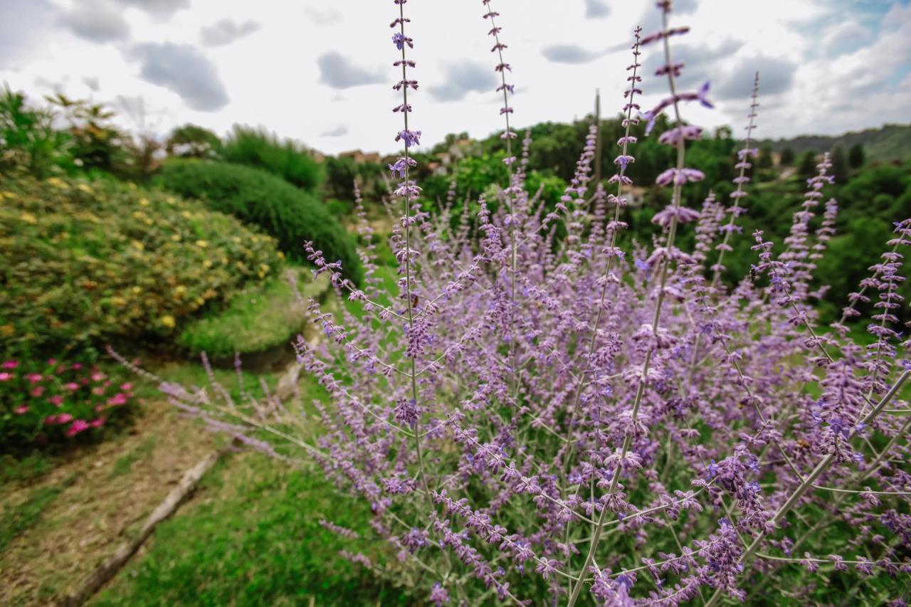 Il Pozzo Fiorito Daire Cossombrato Dış mekan fotoğraf
